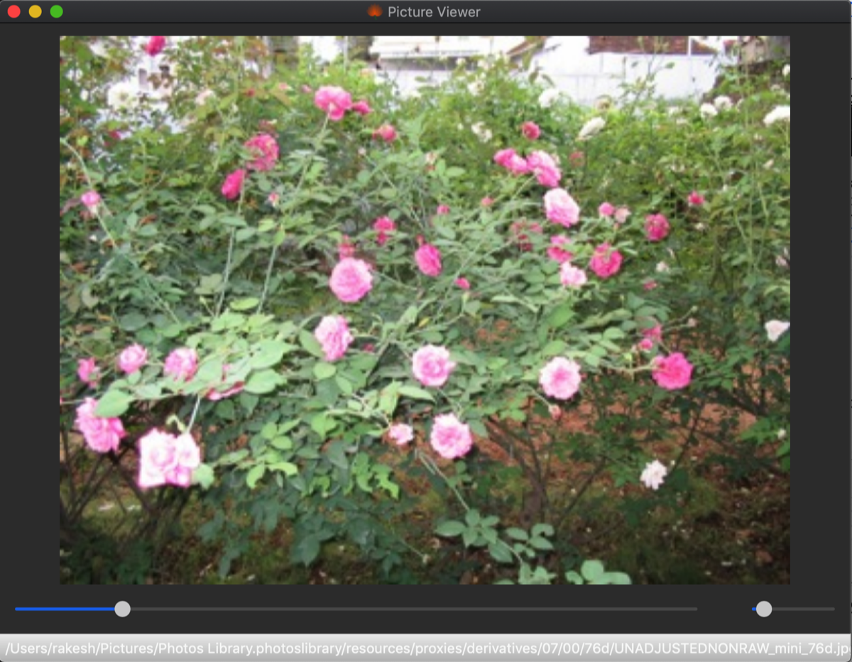 Sample Image Sample Image
